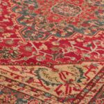 Asiatic Windsor win08 Carpet