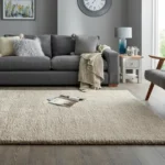 Cosy Soft Shaggy Carpet