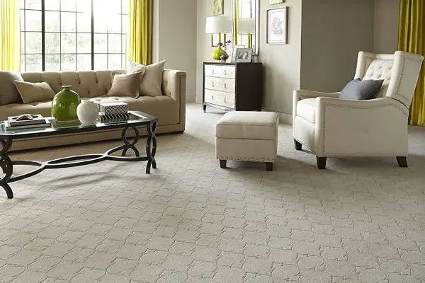 Luxury wall to wall carpet featuring dense textured pile in a formal living area with custom fitted flooring
