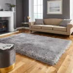 Montana Silver Carpet