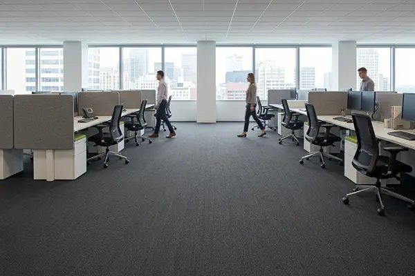 Needle Punch Wall to Wall Carpets For Commercial Use installed across a modern office floor with durable low-pile finish.