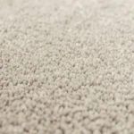 Sheen Shaggy Carpet
