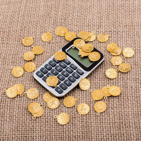 Budget Considerations