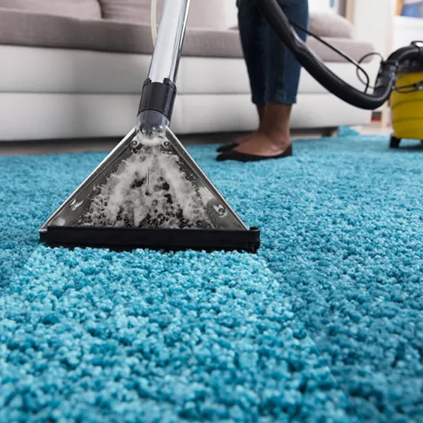 Cleaning Requirements