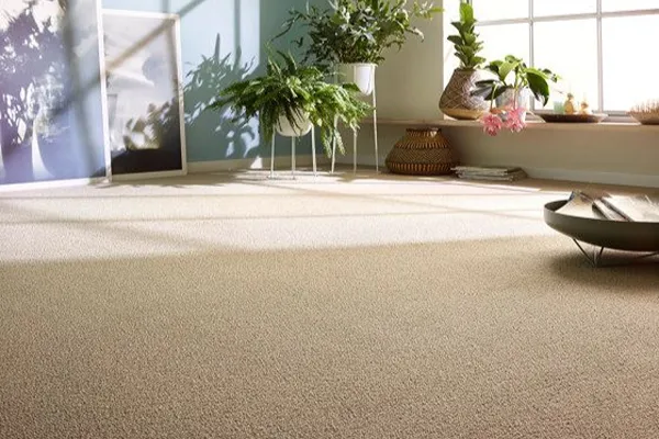 Wall to Wall Carpets 15